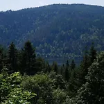 Im Schwarzwald Mit Garten Апартаменты