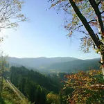 Апартаменты Im Schwarzwald Mit Garten Urberg