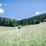 Im Schwarzwald Mit Garten Апартаменты