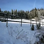 Im Schwarzwald Mit Garten *
