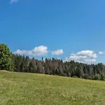 Im Schwarzwald Mit Garten Urberg
