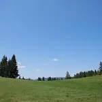 Im Schwarzwald Mit Garten Urberg