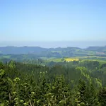 Im Schwarzwald Mit Garten Urberg