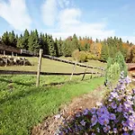 Im Schwarzwald Mit Garten Апартаменты