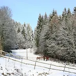 Апартаменты Im Schwarzwald Mit Garten