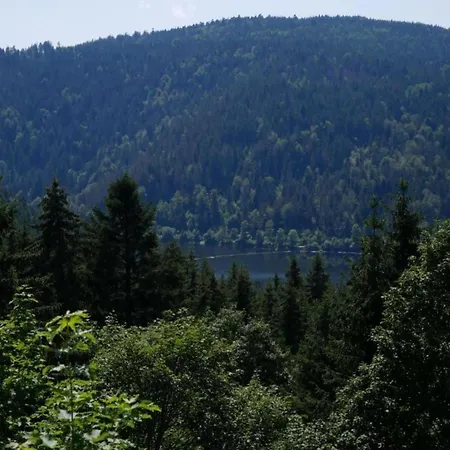 Im Schwarzwald Mit Garten דירה