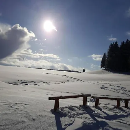 Im Schwarzwald Mit Garten דירה Urberg