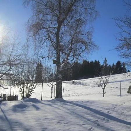 Im Schwarzwald Mit Garten Urberg