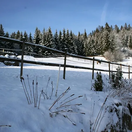 Im Schwarzwald Mit Garten *