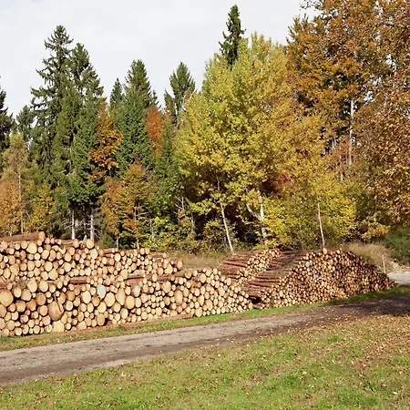 דירה Im Schwarzwald Mit Garten