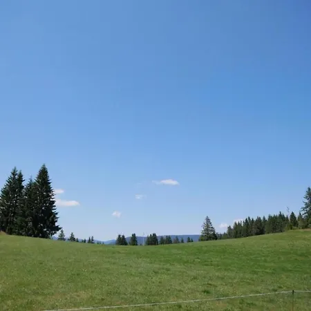 Im Schwarzwald Mit Garten Urberg