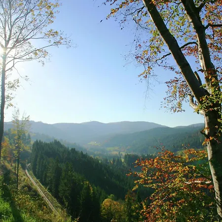 Im Schwarzwald Mit Garten