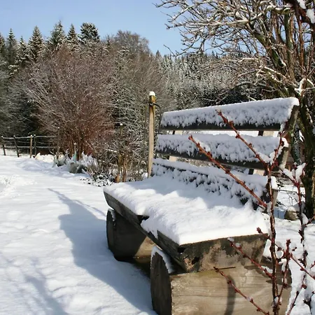 Im Schwarzwald Mit Garten