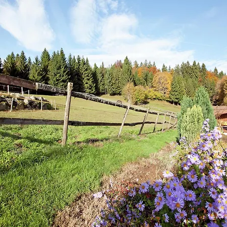 Im Schwarzwald Mit Garten דירה