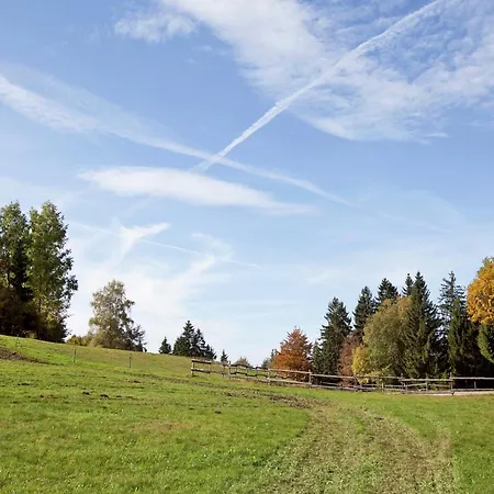 Lejlighed Im Schwarzwald Mit Garten Urberg