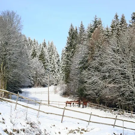 Appartement Im Schwarzwald Mit Garten