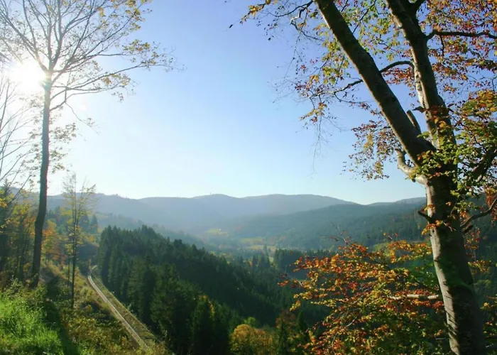 Apartamento Im Schwarzwald Mit Garten Urberg